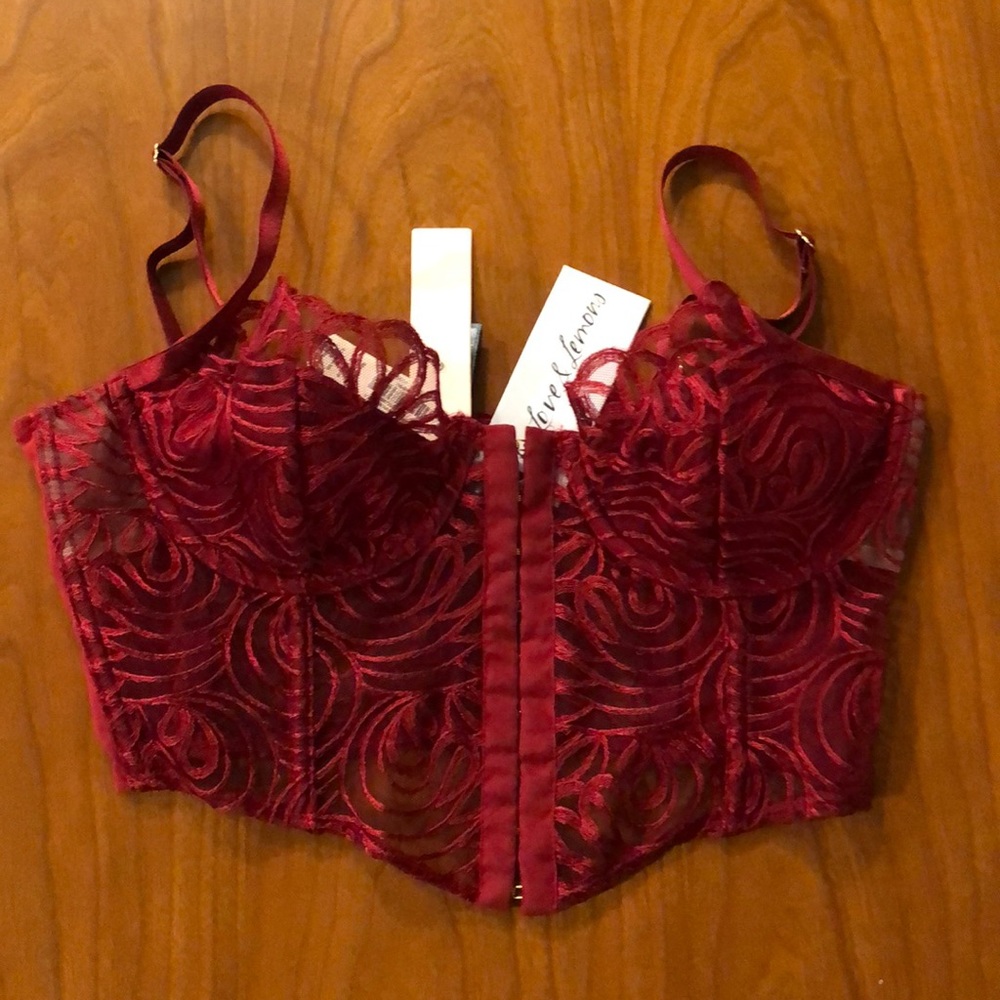Victoria’s Secret/Love & Lemons corset top!